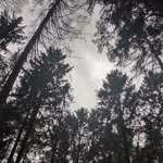Dominik Beck - @dominik_beck.growth - Instagram