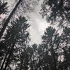 Dominik Beck - @dominik.beck.growth - TikTok