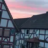 Dominik Simon - @dominik.simon - TikTok