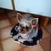 Dominique Bender - Facebook
