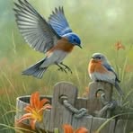 Dominique Bisson - Facebook