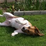Dominique Bourdon - @ddbourdon58 - Instagram