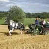 Dominique Bourdon - @dominique.bourdon6 - TikTok