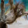 dominiquebourdon2 - @dominiquebourdon2 - TikTok