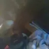 dominiquedoss27 - @dominiquedoss27 - TikTok