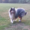 Dominique Kramer - @dominique.kramer - TikTok