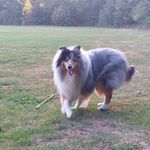dominique.kramer - @dominique.kramer1 - Instagram
