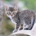 Dominique Lay - Facebook