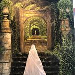 Dominique Le Lay - @dpldetalleyrand - Instagram
