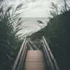 dominiquelayla - @dominiquelayla - TikTok