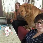 Dominique Ledoux Perrot - @ledouxperrot - Instagram