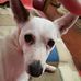 Dominique Lienard - Facebook