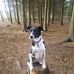 Dominique Laikusch - Facebook