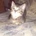 Dominique Link - Facebook