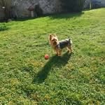 Dominique Thibault - @dominiquethibault7 - Instagram