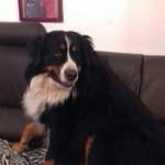 Dominique Thibault - @dominique.thibault.104 - Instagram