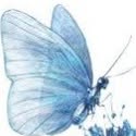 Dominique Thibault - Facebook