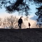 Dominique de Winter - @dominiquedewinter - Instagram