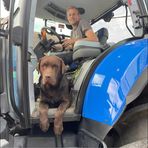 Dominique De Winter - Facebook