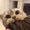 Winter Dominique - @winterdominique - TikTok