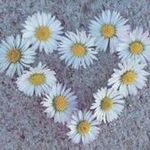 Donna M. Abernathy - @donna_abernathy - Instagram