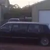 Don Adams - @donadams79 - TikTok