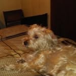 Don Alderman - @don.alderman.754 - Instagram