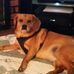 Donald Allman - Facebook