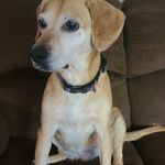 Braedon Altman - @braedonaltman - Instagram