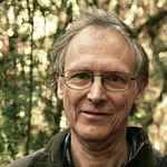 Fossil plants and wildlife - @donandersonoday - Instagram