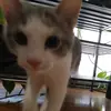 donnavinatkins8 - @donnavinatkins8 - TikTok