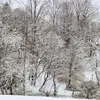 donaubrey325 - @donaubrey325 - TikTok