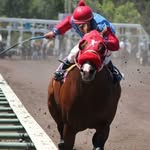 Don August - @donaugustphotography - Instagram