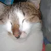 Philip Don August Israel - @philip.don.august - TikTok