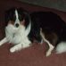 Don Baer - Facebook