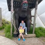 Don Baird - @donbaird - Instagram