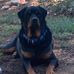 Donald Bannister - Facebook