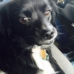 Donna Bannister - @donna.bannister.5030 - Instagram