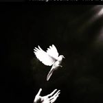 don baron - @don_baron18 - Instagram