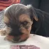 don Juan Barrera - @don.juan.barrera - TikTok