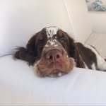 DON PEPE BARRERA - @don_pepebarrera - Instagram