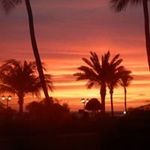 Kathy-Don Bartley - @kathydonbartley - Instagram