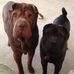 Don Baugh - Facebook