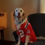 Don Beal - @donsellsmaine - Instagram