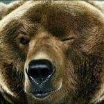 Don Beal - @koncretegrizzly - Instagram