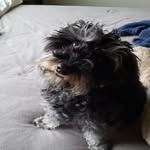 Don Beale - @beale.don - Instagram