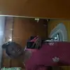 donitajanebeal - @janegwapa - TikTok