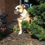 Don Beard - @beard4523 - Instagram