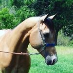 DON BEAVER KOKO - @donbeaverkoko - Instagram