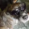 453144 - @donabecker - TikTok